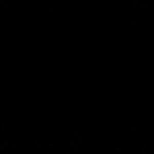 Meet your Posher, Ayesha j.